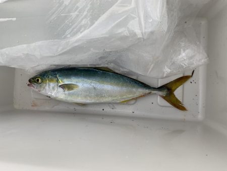 とりあえず当たりあり