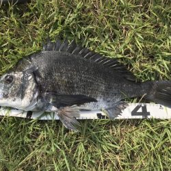 イチノ兄弟、釣果！！