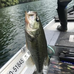 目標昼までに二桁釣るぞ