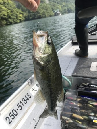 目標昼までに二桁釣るぞ