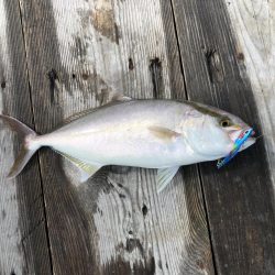 久家さんのイカダでLSJ