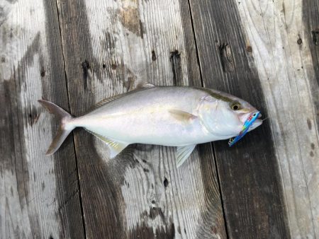 久家さんのイカダでLSJ