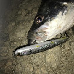台風開けの増水