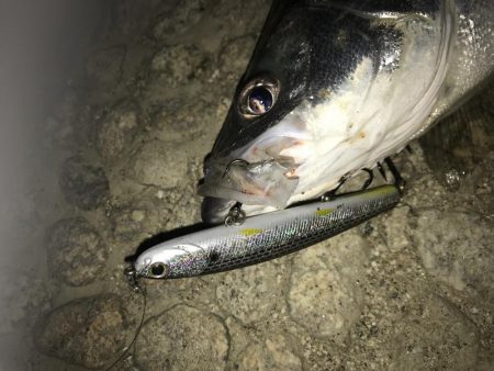台風開けの増水