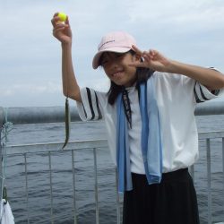 南芦屋浜 孫娘のサヨリデビュー