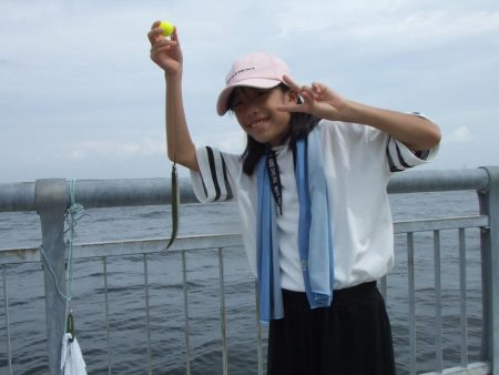 南芦屋浜 孫娘のサヨリデビュー