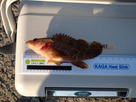 おじさんの夏休み