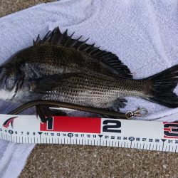 台風の来る前に