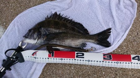 台風の来る前に