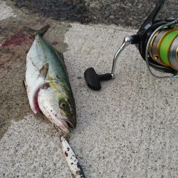 朝マズメ  ライトショアジギング