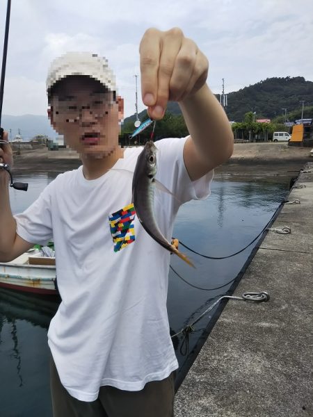 沼島でライトゲーム