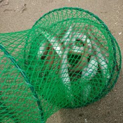 ボートキス釣り