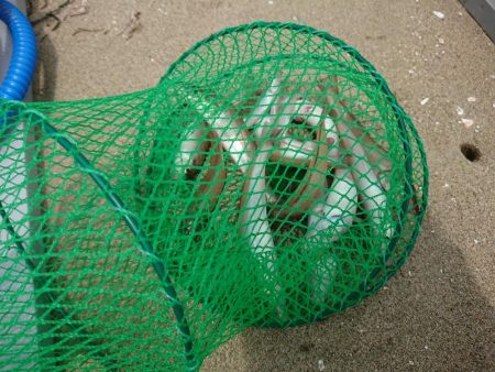 ボートキス釣り