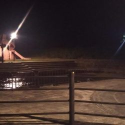 シーズン初タチウオ