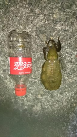 久しぶりの釣行