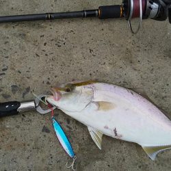 水潮でも爆釣ショアジギ