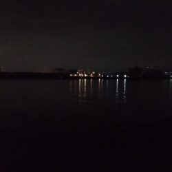 成長したツバス狙い