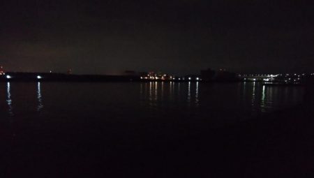 成長したツバス狙い