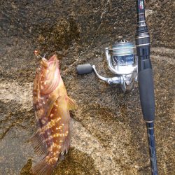 熱中症に気をつけよう