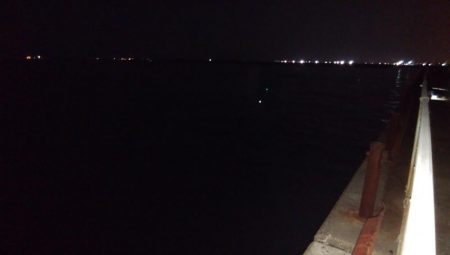 ツバッシング＆タチウオを