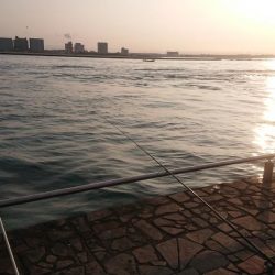 朝の涼しい時間に