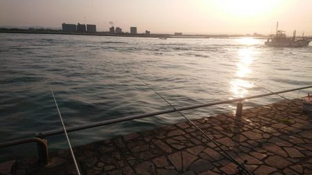 朝の涼しい時間に