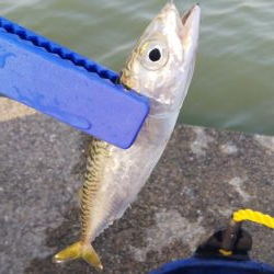 連休最終日はどうかな？