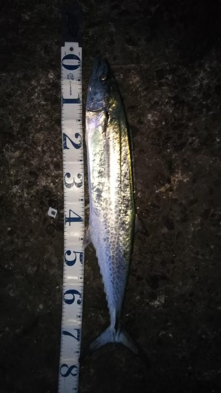 寝坊のち・・・。