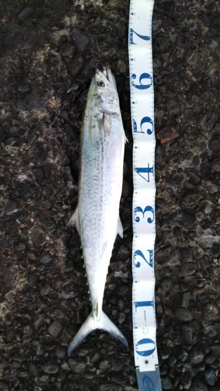 寝坊のち・・・。②