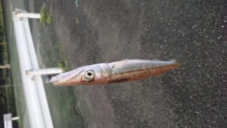 アジングまずまず