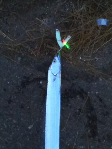 夕マヅメ陸っぱりジギング