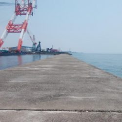 播磨新島のキス情報