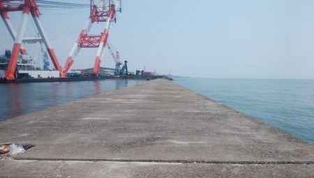 播磨新島のキス情報