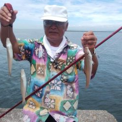 ２日続け好釣果でした