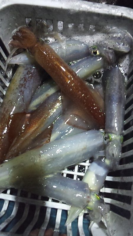 今季初100杯オーバー