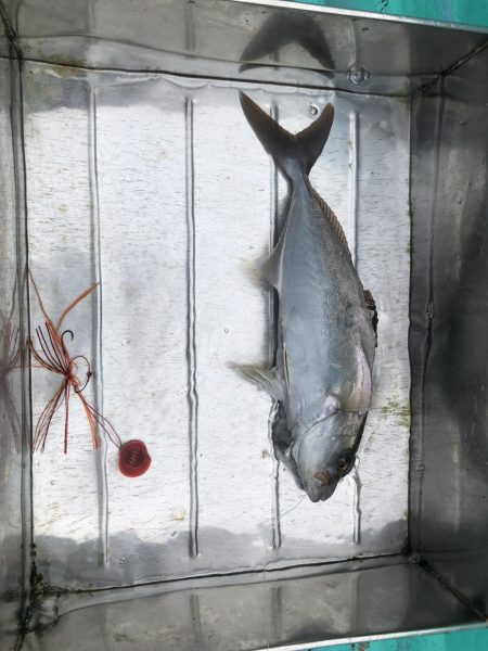 徳島県南レンタルボートでシオ