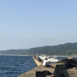 新子調査してきました。