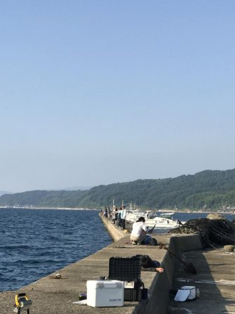 新子調査してきました。