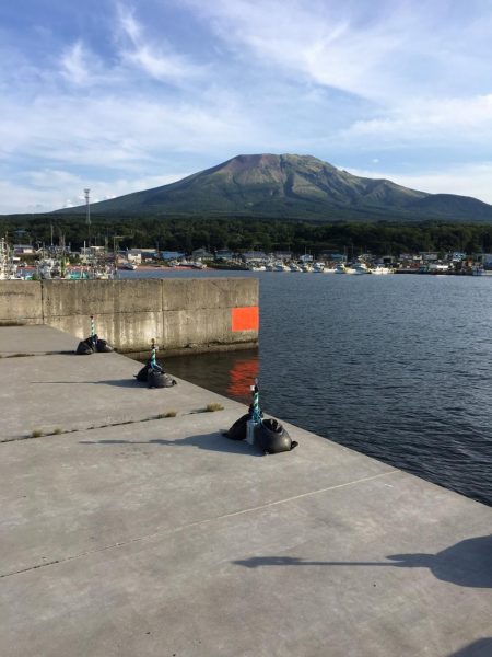 函館港のソイ釣り