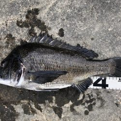 イチノ兄弟、釣果！