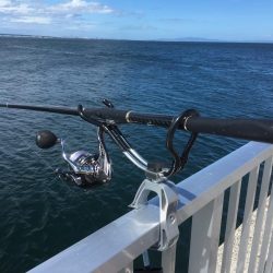 メジロ、ブリをメインで狙い、大きなシーバスとかヒラメとかをサブで狙いました。