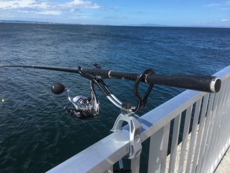 メジロ、ブリをメインで狙い、大きなシーバスとかヒラメとかをサブで狙いました。