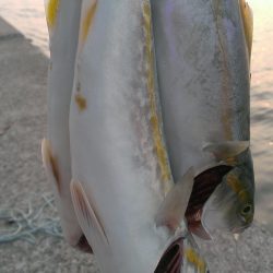 型も数も伸びず