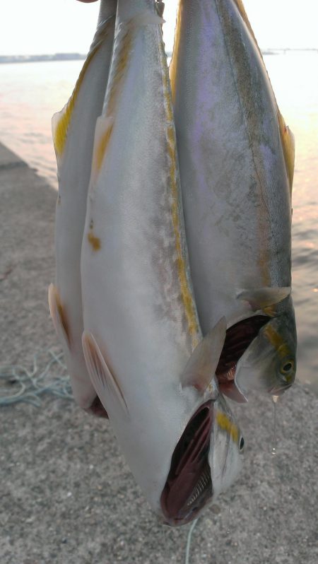 型も数も伸びず