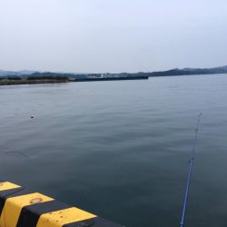 チャリコとコアジ