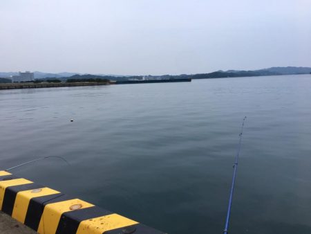 チャリコとコアジ