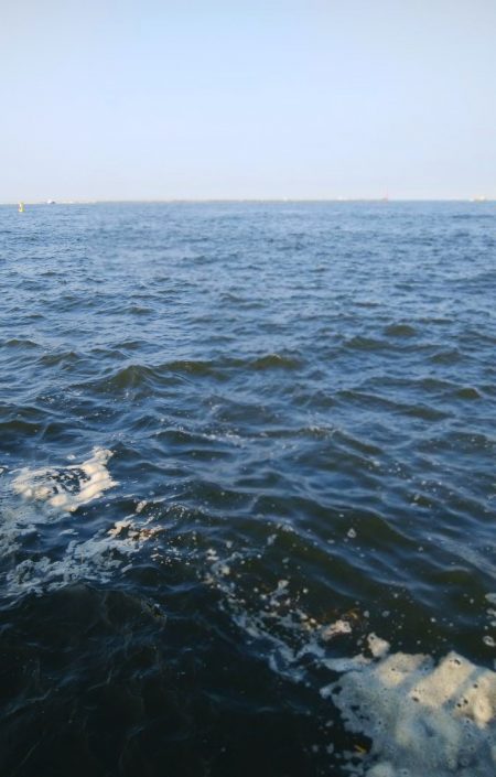 やっと悲願のタコ