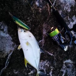 ポッパーは楽しい