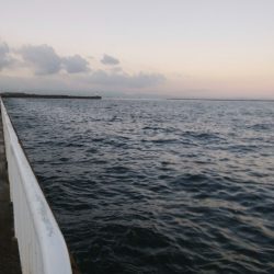 仕事前にツバス釣り