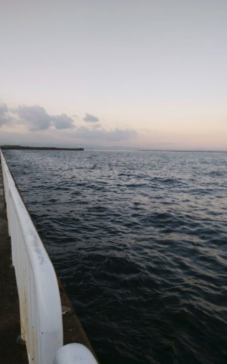 仕事前にツバス釣り